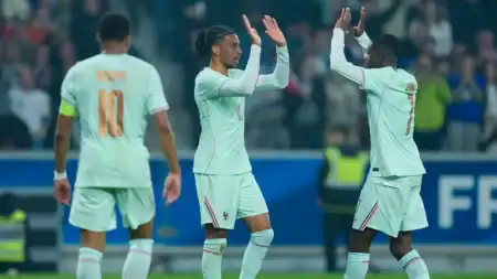 فرنسا تهزم إيرلندا الشمالية بثلاثية قبل كأس العالم 2026